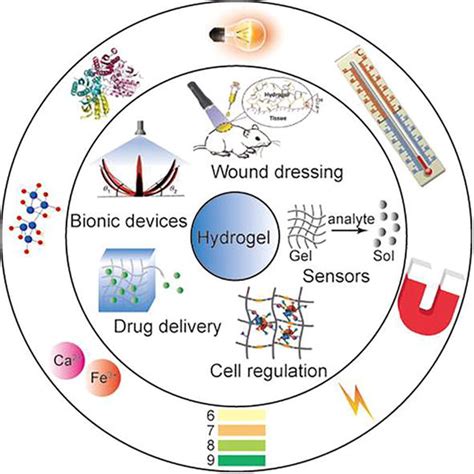  Nano-Hydrogel: 스마트한 약물 전달 시스템을 위한 미래 소재인가?!